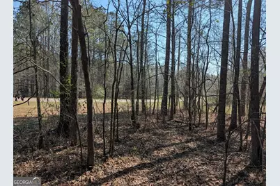 637 Minardi Drive, Hogansville, GA 30230 - Photo 11