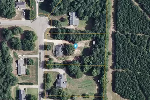 322 Black Willow Ct, Locust Grove, GA 30248 - Photo 45