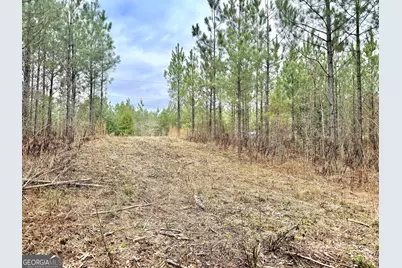 49 Acres Jordon Road, Waverly Hall, GA 31831 - Photo 5