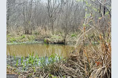 49 Acres Jordon Road, Waverly Hall, GA 31831 - Photo 13