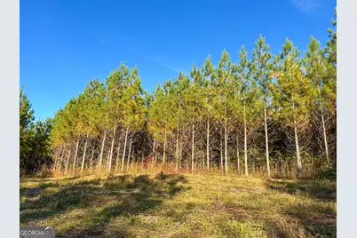 49 Acres Jordon Road, Waverly Hall, GA 31831 - Photo 3