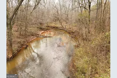 49 Acres Jordon Road, Waverly Hall, GA 31831 - Photo 7