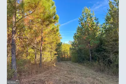 49 Acres Jordon Road, Waverly Hall, GA 31831 - Photo 11