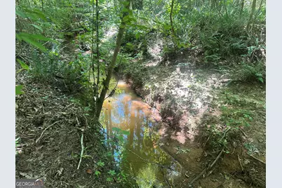 49 Acres Jordon Road, Waverly Hall, GA 31831 - Photo 15