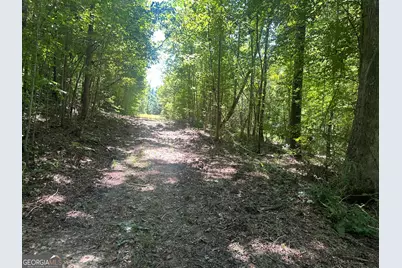 49 Acres Jordon Road, Waverly Hall, GA 31831 - Photo 17