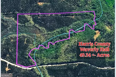 49 Acres Jordon Road, Waverly Hall, GA 31831 - Photo 19