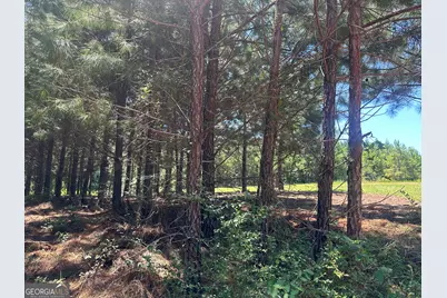 49 Acres Jordon Road, Waverly Hall, GA 31831 - Photo 23