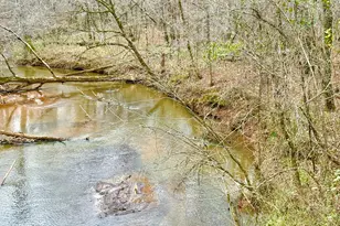 49 Acres Jordon Rd, Waverly Hall, GA 31831 - Photo 1