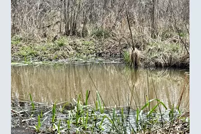 49 Acres Jordon Road, Waverly Hall, GA 31831 - Photo 9