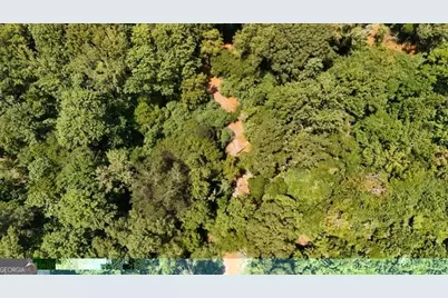 49 Acres Jordon Road, Waverly Hall, GA 31831 - Photo 27