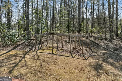 147 Little Road, Sharpsburg, GA 30277 - Photo 51