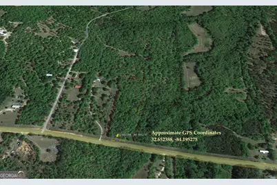 Lot 12 E Old Wire Road, Butler, GA 31006 - Photo 11