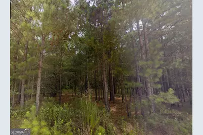 Lot 12 E Old Wire Road, Butler, GA 31006 - Photo 5