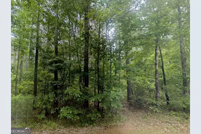 Lot 12 E Old Wire Road, Butler, GA 31006 - Photo 3