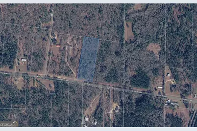 Lot 12 E Old Wire Road, Butler, GA 31006 - Photo 9