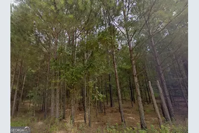 Lot 12 E Old Wire Road, Butler, GA 31006 - Photo 7