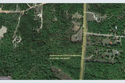 Lot 18 E Old Wire Road, Butler, GA 31006 - Photo 11