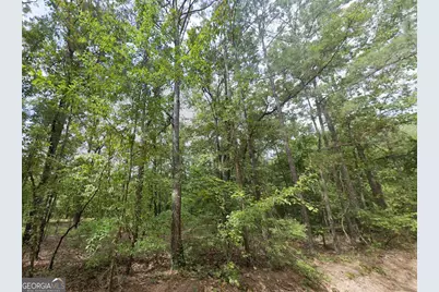 Lot 18 E Old Wire Road, Butler, GA 31006 - Photo 5