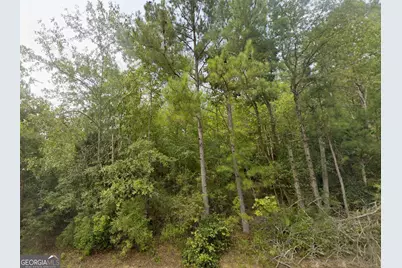 Lot 18 E Old Wire Road, Butler, GA 31006 - Photo 3