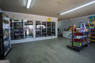 10441 Millarden (Ga-85) Road, Woodbury, GA 30293 - Photo 21