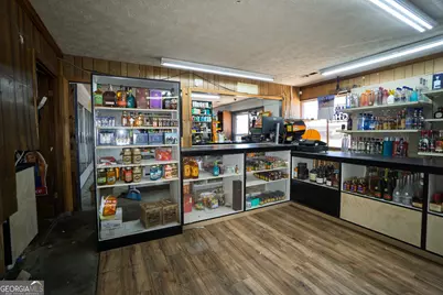 10441 Millarden (Ga-85) Road, Woodbury, GA 30293 - Photo 9