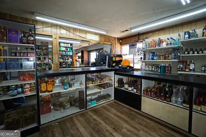 10441 Millarden (Ga-85) Road, Woodbury, GA 30293 - Photo 5