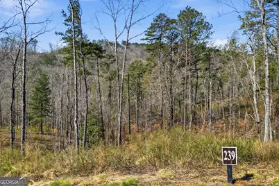 Lot 239 Spear Point Drive, Talking Rock, GA 30175 - Photo 15