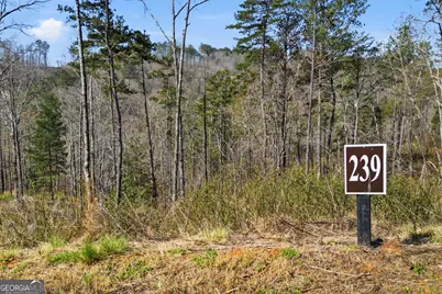 Lot 239 Spear Point Drive, Talking Rock, GA 30175 - Photo 13