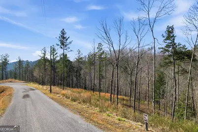 Lot 239 Spear Point Drive, Talking Rock, GA 30175 - Photo 7