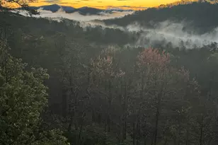 120 Ridgeland, Sautee Nacoochee, GA 30571 - Photo 61