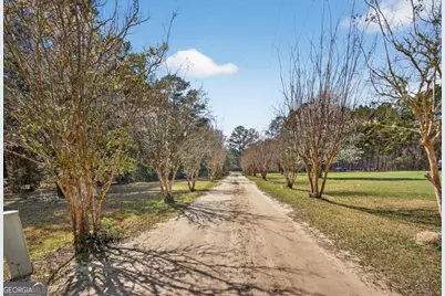 560 Log Landing Road, Springfield, GA 31329 - Photo 7