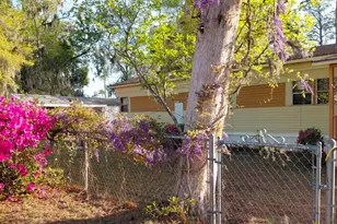 20 Gibson St, Folkston, GA 31537 - Photo 3