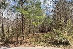 78 Heights Hollow, Acworth, GA 30101 - Photo 1