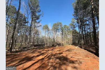 0 Waterford Road, Bremen, GA 30110 - Photo 3