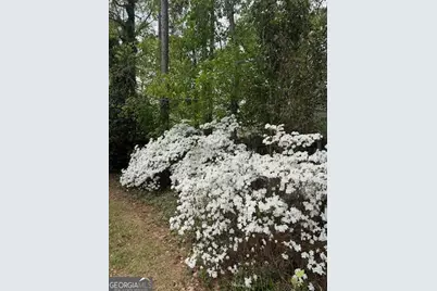 244 Surrey Lane, Statesboro, GA 30458 - Photo 35