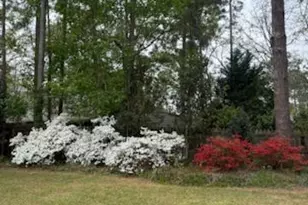 244 Surrey Ln, Statesboro, GA 30458 - Photo 37