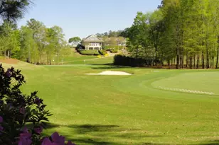 1180 Club Cove Dr, Greensboro, GA 30642 - Photo 49