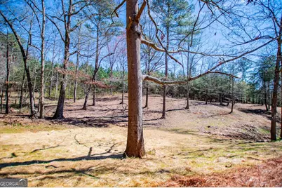 4221 N Hwy 100, Waco, GA 30182 - Photo 51