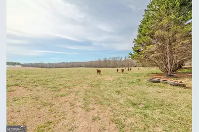 50 Acres McFarlin Bridge, Carnesville, GA 30521 - Photo 25