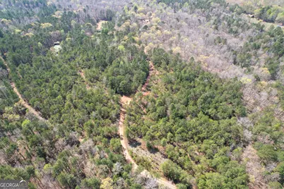 3595 Logtown Road, Thomaston, GA 30286 - Photo 55