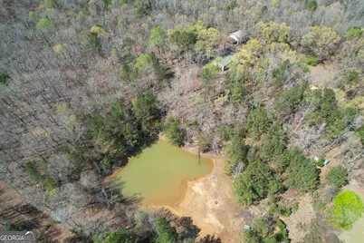 3595 Logtown Road, Thomaston, GA 30286 - Photo 49