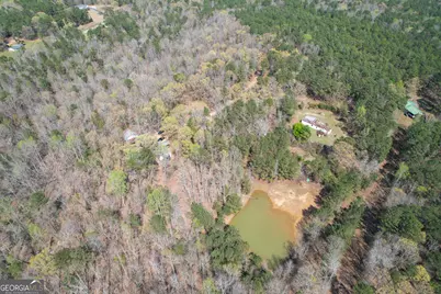 3595 Logtown Road, Thomaston, GA 30286 - Photo 53