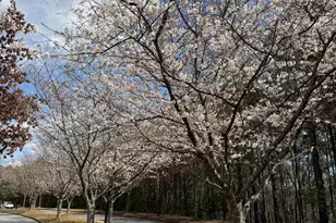 1550 Baygreen Rd, Suwanee, GA 30024 - Photo 19