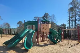 117 Oakchase Pk Ln, Hampton, GA 30228 - Photo 31
