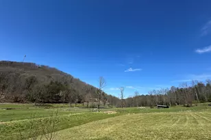 137 Blue Spruce Dr, Blairsville, GA 30512 - Photo 53