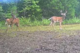 3873 Cove Rd, Woodbury, GA 30293 - Photo 75