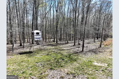 3873 Cove Road, Woodbury, GA 30293 - Photo 71
