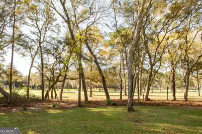 1473 N River Oaks Drive, Blackshear, GA 31516 - Photo 21