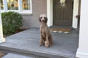 2660 Stanislaus Cir, Macon, GA 31204 - Photo 31