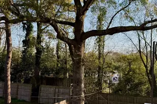 2660 Stanislaus Cir, Macon, GA 31204 - Photo 23